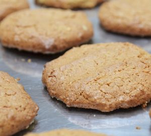 Bolacha de Trigo e Aveia