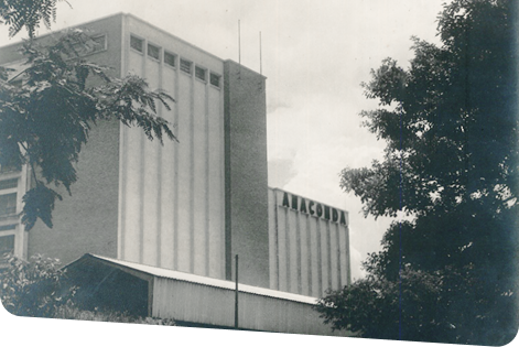 imagem historia anaconda