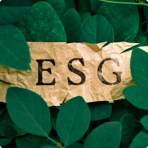 imagem esg