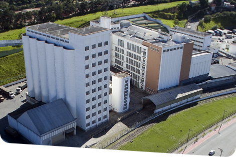 imagem historia anaconda